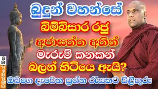 බුදුන් වහන්සේ බිම්බිසාර රජු අජාසත්තගෙන් බේරා නොගත්තේ ඇයි ? | galigamuwe gnanadeepa thero 2021 bana