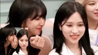 The way Chaeyoung looks at Mina & Mina's smile after Chaeyoung whisperd somthing to her #michaeng