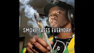Roadman Shaaq - Smoke trees everyday