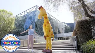 Geoffrey’s World Tour: Welcome to Melbourne! | Toys”R”Us