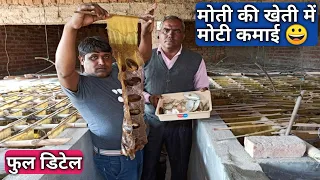 घर पर मोती की खेती, कम जगह में लाखों कमाओ । pearl farming at home । kisan farming 088160 43327