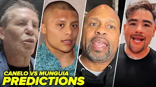 Pros Picks - Canelo vs Jaime Munguia predictions