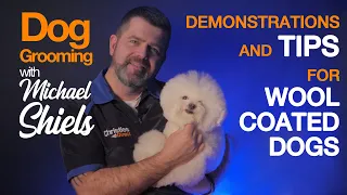 Demonstrations and Tips for Grooming Wool Coated Dogs - Dog Groomer or Pet Owner