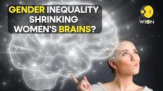 Could gender inequality shrink women's brains? Study explains | WION Originals