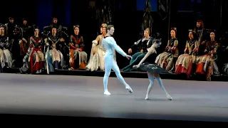 Anna Nikulina and Artemy Belyakov in ballet Swan Lake Black Adagio