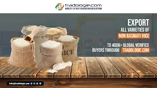 Export All Varieties of Non-Basmati Rice To 400K+ Global Verified Buyers