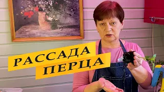 Перевалка перца.