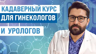 Первый кадаверный курс для гинекологов и урологов: Анатомия и влагалищная хирургия опущения органов