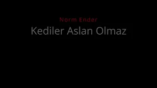 Norm Ender - Kediler Aslan Olmaz (Slowed - Bass Boosted - Reverb)