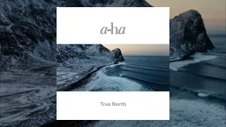 a-ha em 2 minutos (#524) - you have what it takes (Magne Furuholmen version - True North demo)