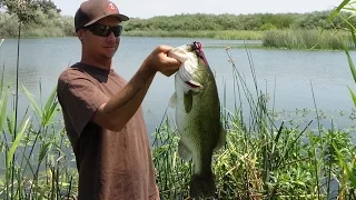 " D&M "   PUNCHING BASS ...  ON THE CALIF. DELTA !