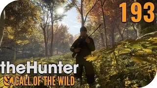 THE HUNTER: CALL OF THE WILD #193 - BIGFOOTEXPERTE MISTERALPH! 🐗 || PantoffelPlays