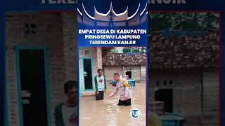 Empat Desa di Kabupaten Pringsewu Lampung Terendam Banjir
