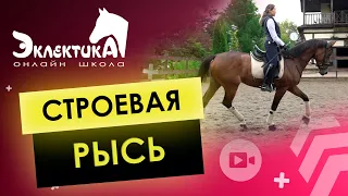 Строевая рысь   правильная посадка  Облегчённая  Верховая Езда