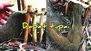 pasang jerat tupai tanah,tapi lihat apa yg Dapat... [PART2]