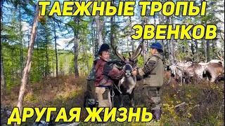 Таежные тропы эвенков. Другая жизнь.