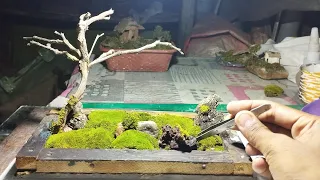 moss garden ll moss garden mini structure ll moss ll moss garden home made ll moss mini garden #moss