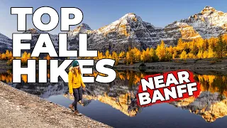 Best Fall Hikes Near Banff for Photography and Larch Trees