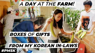 A DAY AT THE FARM WITH MY GENEROUS KOREAN IN-LAWS | PMSK