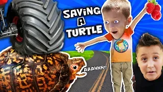 WE SAVED AN INJURED TURTLE!! FUNnel Vision Pet Smart Habitat Vlog