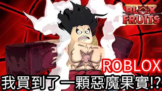 【Kim阿金】我買到了一顆惡魔果實 我要成為海賊王!!《ROBLOX》blox fruits