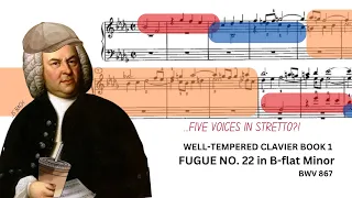 Bach - Fugue No. 22 in B-flat Minor, BWV 867 - Analysis