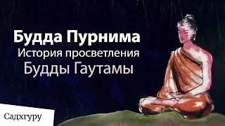 История просветления Будды. Будда Пурнима 2019