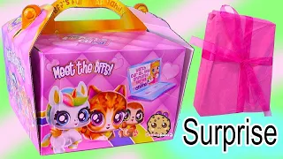 BFF Pets Dolls Best Furry Friends ! Giant Surprise Package Box ! Cookie Swirl C