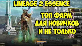 Фарм без вложений для новичков и уже играющих в Lineage 2 Essence.