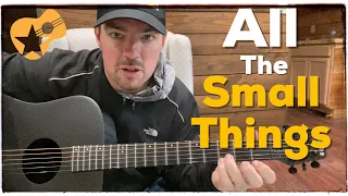 All the Small Things | Blink182 | Beginner Guitar Lesson