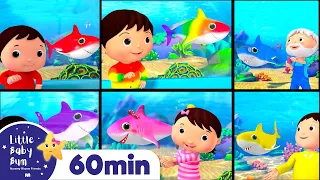 Rainbow Baby Shark 🌈🦈| Little Baby Bum | Moonbug Kids - Color Time