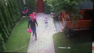 Отец спас ребенка от нападения собаки