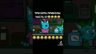 три кота приколы чать 37😂😂😂😂😂😂 живой огурец, ням ням аааа😂😂🤩😂