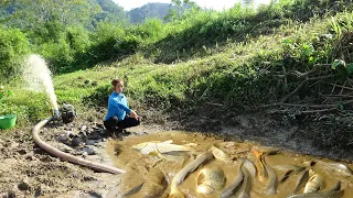 How to catch a miracle fish: Use a pump to suck all the water in the lake, Catch a lot of fish