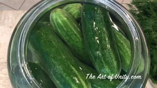 Best Fermented Dill Pickles - Easiest Recipe