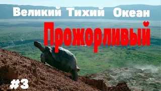 Великий Тихий Океан e03. Прожорливый