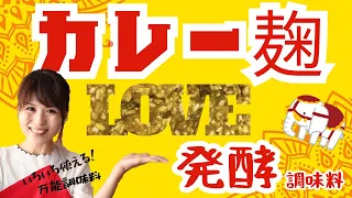 発酵シリーズ：カレー麹の作り方　～手軽でラク！健康的な万能調味料～