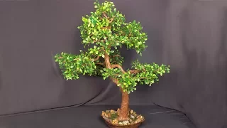 How to make an artificial tree. Bonsai own hands