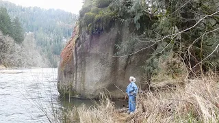 Mud Fossils Everywhere