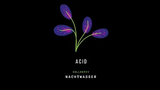 Acid Techno Set (Livestream 01.09.2020) |  Nachtwasser