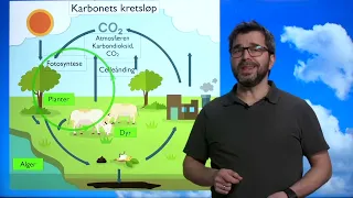 Naturfag Påbygg: Karbonets kretsløp