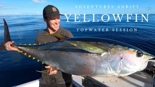 Topwater Fishing for Yellowfin in Glamour Conditions