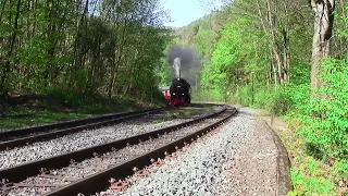Die Harzer Schmalspurbahn im April 2024