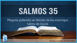 Salmos 35 - PLEGARIA PIDIENDO SER LIBRADO DE LOS ENEMIGOS, SALMO DE DAVID 📖  Biblia Audio RVR1960