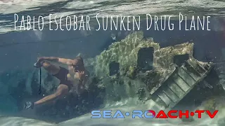 Pablo Escobar Sunken Drug Plane, Norman's Cay | Bahamas Trip Day 4