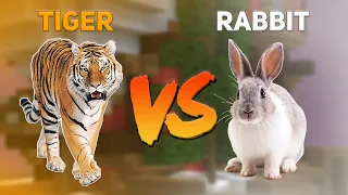 СРАВНЕНИЕ ДОНАТОВ РИЛИВОРЛД #2 💥 TIGER VS RABBIT РИЛИВОРЛД 💥 ДОНАТЫ РИЛИВОРЛД 💥 REALLYWORLD