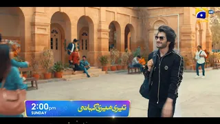 Teri Meri Kahani | Promo | Haroon Kadwani | Sehar Khan | Sunday at 2:00 PM Only On Har Pal Geo