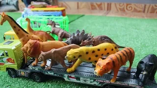 Toy Cars and Trucks - Learn Animal Names and Sounds and Dinousaurus in English