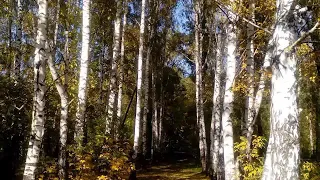 ТАМ,. ГДЕ   ТЫ...... СЕРГЕЙ ОДИНЦОВ -. АВТОР , ИСПОЛНИТЕЛЬ.. СОЗДАТЕЛЬ РОЛИКА ЛЮДМИЛА БУДКОВА