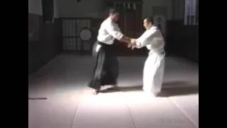 Michio Hikitsuchi's "Essential Teachings of Aikido" Course: A Look at Shihonage